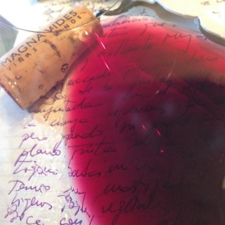 Vera Vides 2015, el “hermano pequeño” de Magna Vides