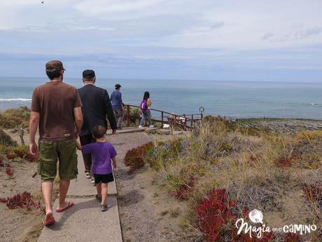 “Escuche”, el mejor consejo en una excursión a Península Valdés