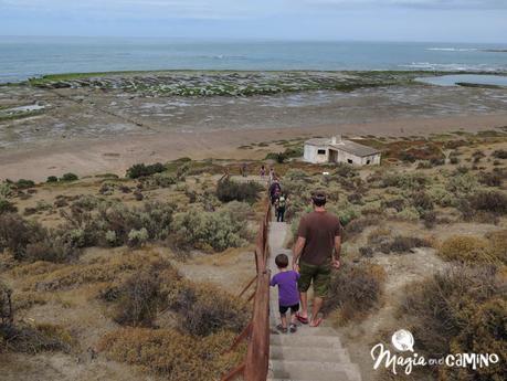 “Escuche”, el mejor consejo en una excursión a Península Valdés