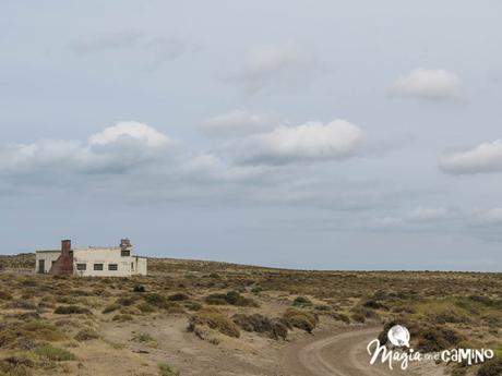 “Escuche”, el mejor consejo en una excursión a Península Valdés