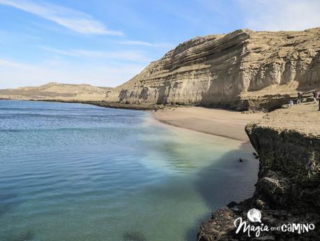 “Escuche”, el mejor consejo en una excursión a Península Valdés