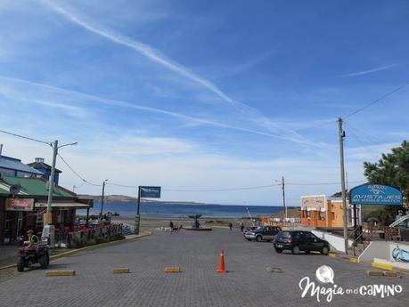 “Escuche”, el mejor consejo en una excursión a Península Valdés