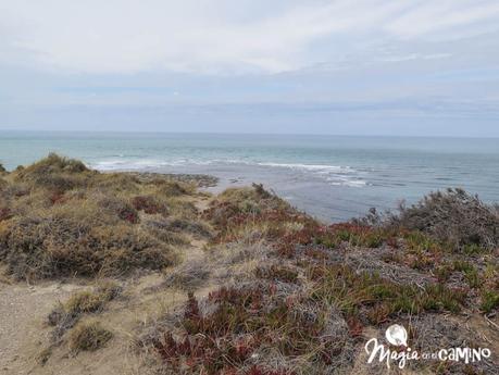 “Escuche”, el mejor consejo en una excursión a Península Valdés