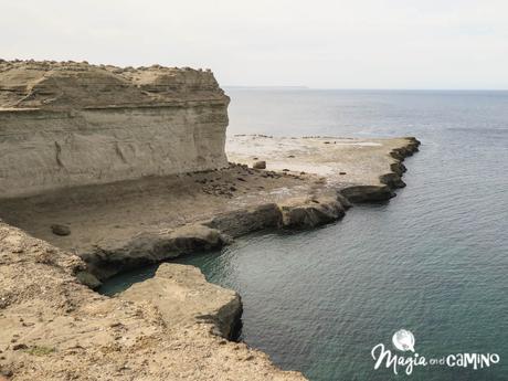 “Escuche”, el mejor consejo en una excursión a Península Valdés