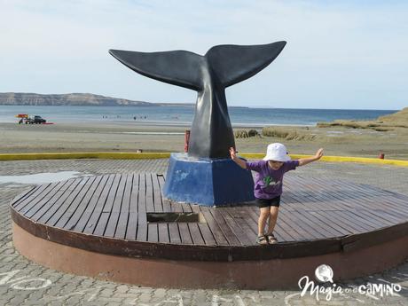 “Escuche”, el mejor consejo en una excursión a Península Valdés