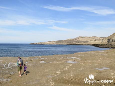 “Escuche”, el mejor consejo en una excursión a Península Valdés