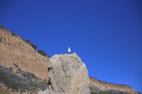 El Matador Beach