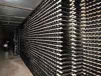 Alta Alella: una experiencia enoturística imposible de olvidar…