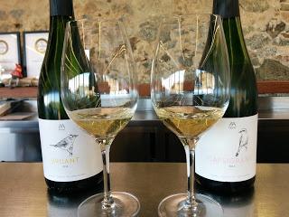 Alta Alella: una experiencia enoturística imposible de olvidar…