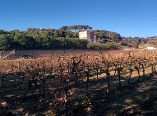 Alta Alella: una experiencia enoturística imposible de olvidar…