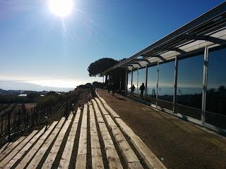 Alta Alella: una experiencia enoturística imposible de olvidar…