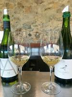 Alta Alella: una experiencia enoturística imposible de olvidar…