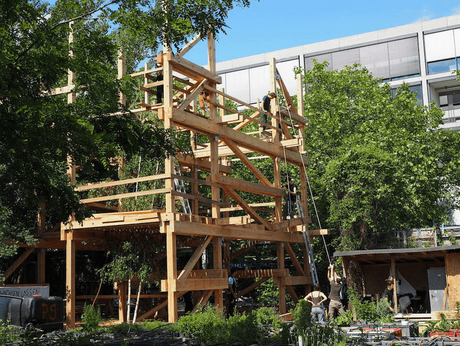 Cómo construir un Internet más orgánico (y hacer frente a corporaciones) Cómo construir un Internet más orgánico (y hacer frente a corporaciones)