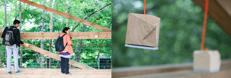 Cómo construir un Internet más orgánico (y hacer frente a corporaciones) Cómo construir un Internet más orgánico (y hacer frente a corporaciones)