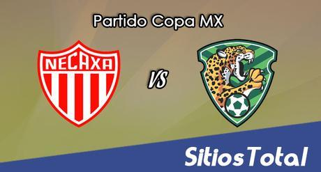 Necaxa vs Jaguares en Vivo – Online, Por TV, Radio en Linea, MxM – Clausura 2017 – Copa MX