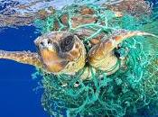 Caretta atrapada. foto denuncia Premio @WorldPressPhoto categoría "Naturaleza"