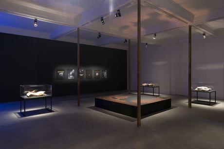 Enrique Ramírez: La evolución como flashback perpetuo Enrique Ramírez: La evolución como flashback perpetuo