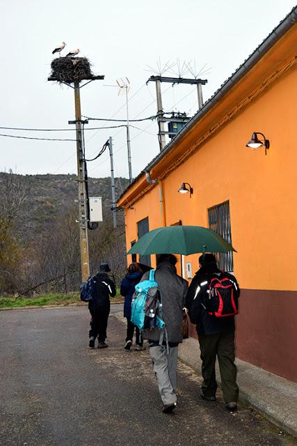 Camino Lebaniego a Santo Toribio, segunda etapa: Santa Olaja de Eslonza-Gradefes-Carbajal de Rueda.
