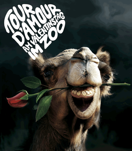 Campaña de publicidad zoo Día de San Valentín
