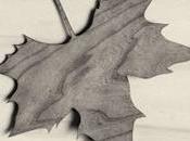 Asturias mirada Chema Madoz