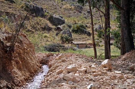 La Kewiña, elemento esencial del Sistema Ambiental de la Comunidad Chorojo (Bolivia)