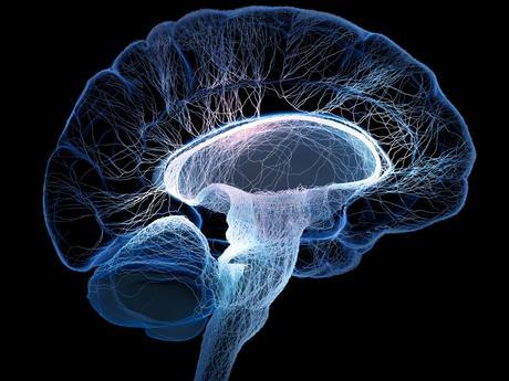 El Cerebro Predice Constantemente las Acciones de Movimiento