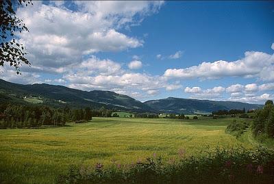 Ahí está, es él; su nombre: MAGNUS CARLSEN !! (8)