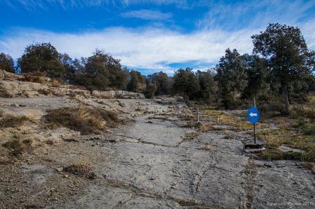 Dirección obligatoria