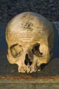 La Historia Compartida – Alexander Pearce