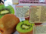 Semana fruta Invierno: kiwi