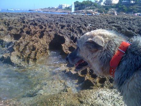 Primeros pasos en este 2017