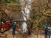 conocemos acerca Hidrocarburos Bolivia