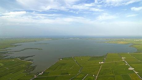 El Parque Natural de L'Albufera (Valencia).