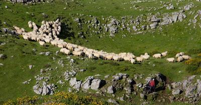Pista..... sobre las pistas del Aralar Pista..... sobre las pistas del Aralar