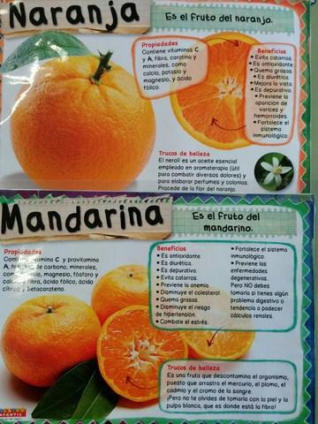 SEMANA DE LA FRUTA DE INVIENRO: NARANJAS Y MANDARINAS
