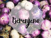 Recetas berenjena