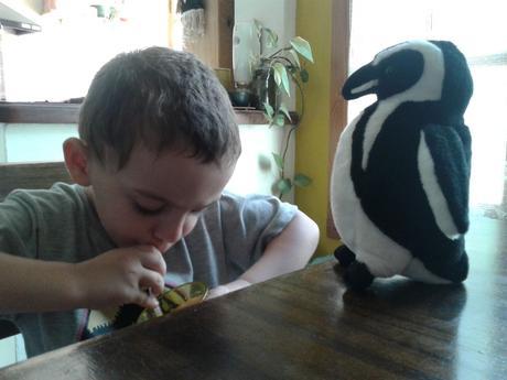 ¡Por fin vi los pingüinos en Punta Tombo!