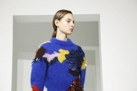 DELPOZO: OTOÑO/INVIERNO 17/18