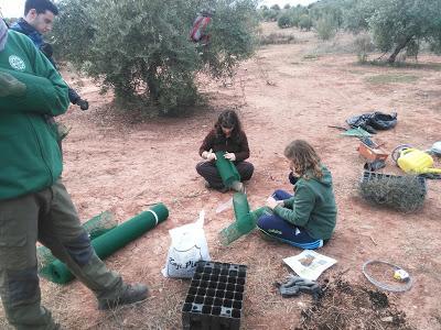 Voluntariado, Reforestación Participativa