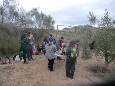 Voluntariado, Reforestación Participativa