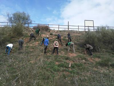Voluntariado, Reforestación Participativa