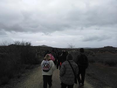 Voluntariado, Reforestación Participativa