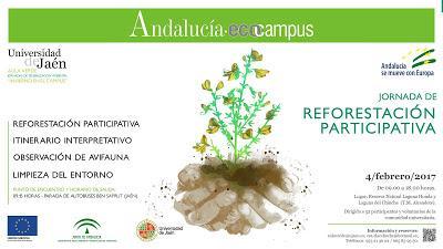 Voluntariado, Reforestación Participativa