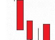 Concealing Baby Swallow-Pequeña Golondrina Ocultada