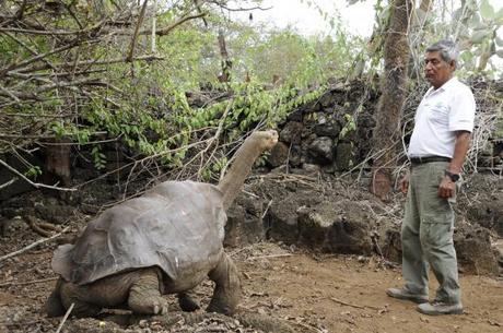 El Solitario George: símbolo de la esperanza, regresó a Ecuador