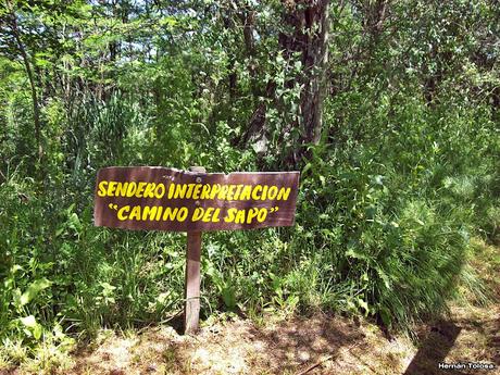 Reserva Natural Laguna de San Vicente (noviembre de 2016)