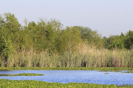 Reserva Natural Laguna de San Vicente (noviembre de 2016)