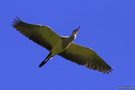 Reserva Natural Laguna de San Vicente (noviembre de 2016)