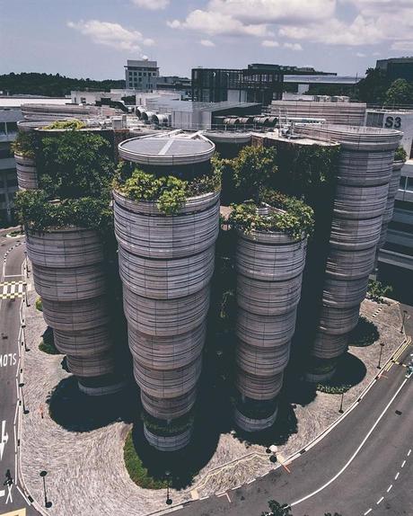 coloridas fotos de singapur