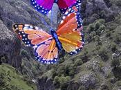 Mariposas Luz, poema simple.